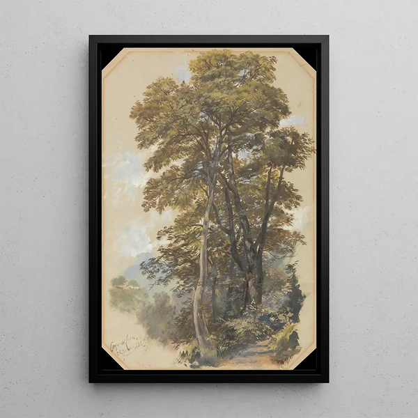 Corpo di Cava 28 de junio de 1838 - Edward Lear — cuadro enmarcado en la pared