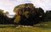 Nuneham - Edward Lear — vista de la obra