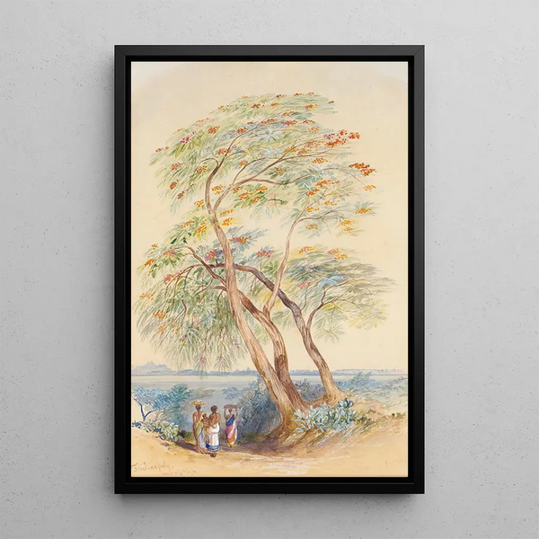 Estudio de árbol Trichinopoly India - Edward Lear — cuadro enmarcado en la pared