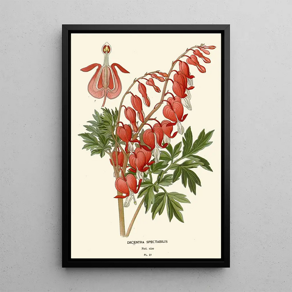 Corazón de María - Edward Step — cuadro enmarcado en la pared