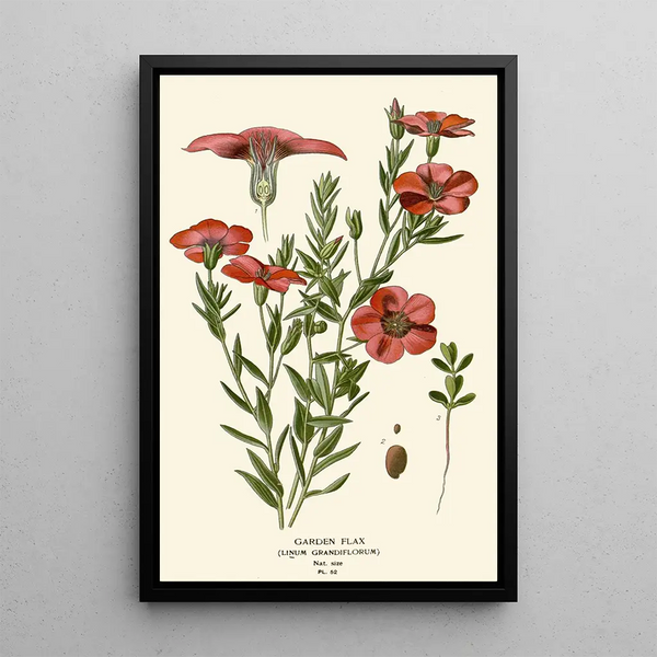 Lin de jardín - Edward Step — cuadro enmarcado en la pared