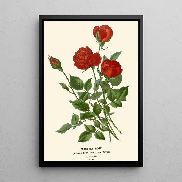 Monthly Pink Painting - Edward Step — framed artwork on a wall