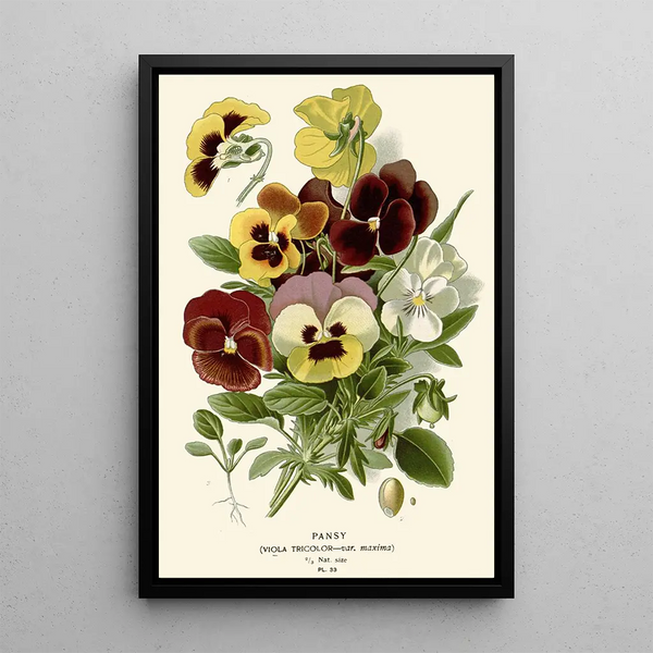Thought - Edward Step — framed artwork on a wall