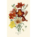 Salpiglossis Sinuata - Edward Step — vista de la obra