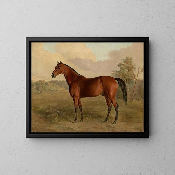 Pic du Kentucky - Edward Troye — cuadro enmarcado en la pared