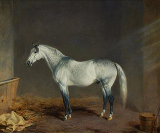 Un caballo de carreras gris en un establo - Edward Troye — vista de la obra