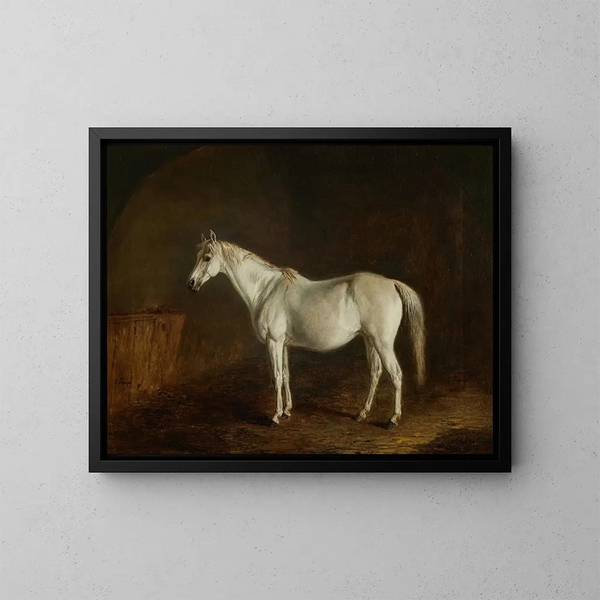 Bobina con caballo de carreras gris - Edward Troye — cuadro enmarcado en la pared
