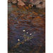 Renoncule d'eau - Eero Järnefelt — vista de la obra