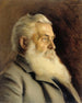 Retrato de M. Ahnger - Eero Järnefelt — vista de la obra
