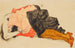 Mujer ocultando su rostro - Egon Schiele — vista de la obra