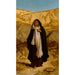 L'Esprit perdido - Elihu Vedder — vista de la obra