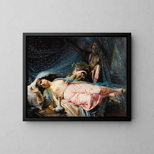 Princess Nazili Hanum - Elisabeth Jerichau-Baumann — framed artwork on a wall