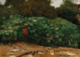 Eliseu Visconti - Mamoneiras Morro de So Bento.webp