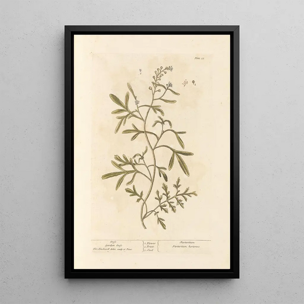 Cresson - Elizabeth Blackwell — framed artwork on a wall