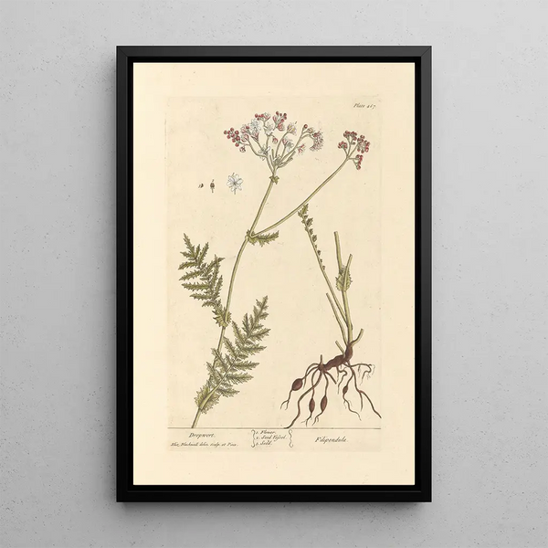 Queen's Park Painting - Elizabeth Blackwell — framed artwork on a wall