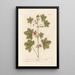 Mauve - Elizabeth Blackwell — cuadro enmarcado en la pared
