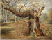 Árbol en descomposición - Elizabeth Murray — vista de la obra