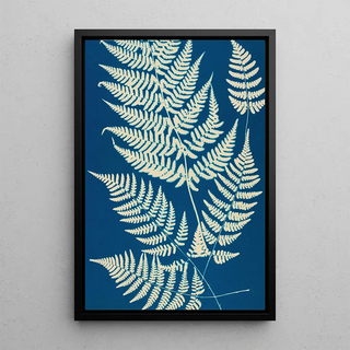 Ella J C Hurd - Ferns of Huntington Long Island Pl04.webp