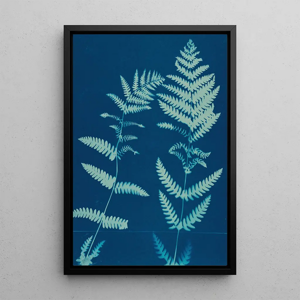 Ella J C Hurd - Ferns of Huntington Long Island Pl12.webp