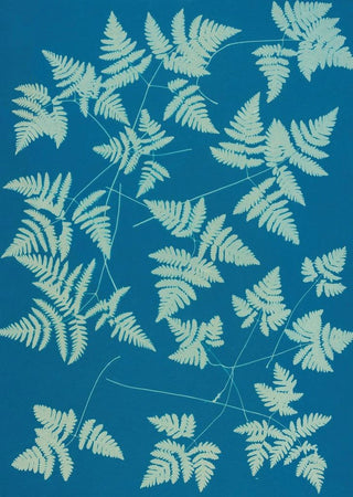 Ella J C Hurd - Ferns of Huntington Long Island Pl16.webp