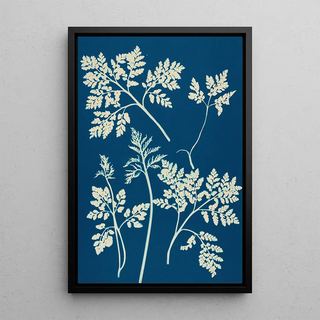 Ella J C Hurd - Ferns of Huntington Long Island Pl25.webp