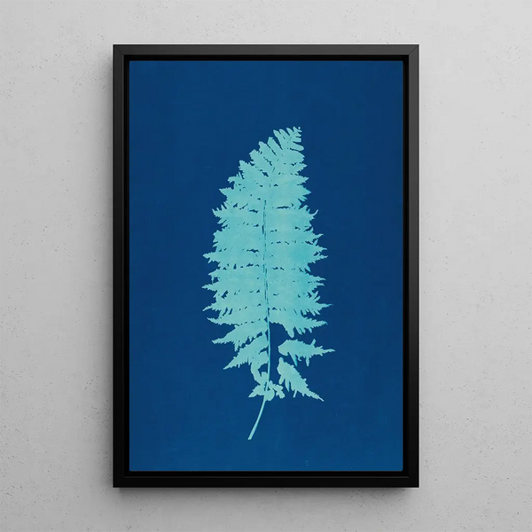 Helechos de Huntington Long Island Pl37 - Ella J C Hurd — cuadro enmarcado en la pared