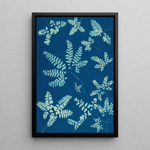 Helechos de Huntington Long Island Pl42 - Ella J C Hurd — cuadro enmarcado en la pared
