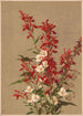 Flor de cardenal - Ellen Fisher — vista de la obra