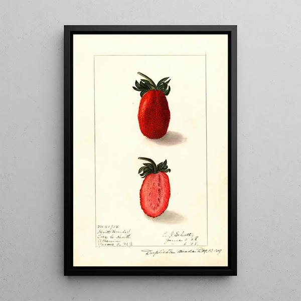 Fragaria Kevitts Wonder - Ellen Isham Schutt | Painting — framed artwork on a wall
