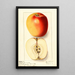 Malus domestica Winter Banana - Ellen Isham Schutt — cuadro enmarcado en la pared