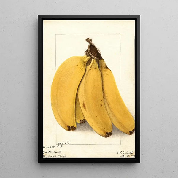 Musa Yenjerto - Ellen Isham Schutt — framed artwork on a wall