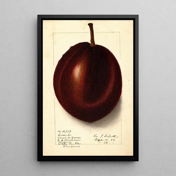 Persea Blackman - Ellen Isham Schutt — framed artwork on a wall