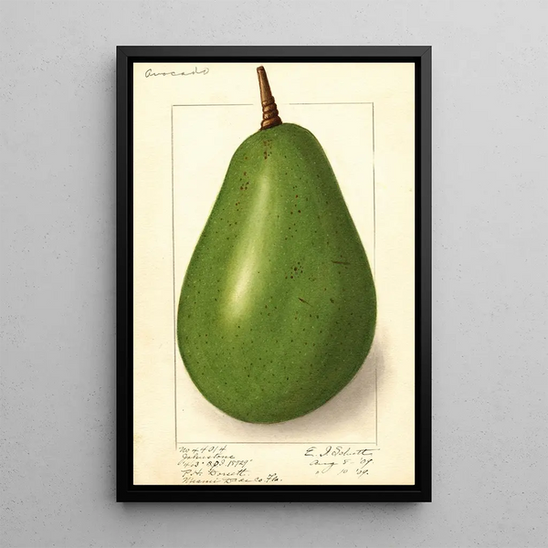 Persea Johnstone - Ellen Isham Schutt — framed artwork on a wall