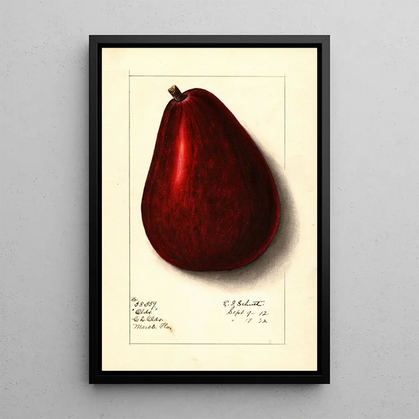 Persea Olds - Ellen Isham Schutt — framed artwork on a wall