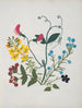álbum de flores en papel recortado pl. 01 - Ellen W. | W — vista de la obra