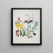 álbum de flores en papel recortado pl. 01 - Ellen W. | W — cuadro enmarcado en la pared