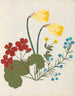 Paper-cut flower album painting pl. 05 - Ellen W. — artwork view