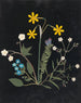 Álbum de flores en papel recortado pl. 06 - Ellen W. — vista de la obra