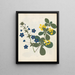 Paper-cut flower album painting pl. 12 - Ellen W. — framed artwork on a wall