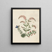 Álbum de flores en papel recortado pl. 16 - Ellen W. — cuadro enmarcado en la pared