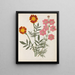 Paper-cut flower album painting pl. 17 - Ellen W. — framed artwork on a wall