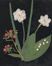 Flower Paper Cutout Album Painting pl. 18 - Ellen W. — artwork view