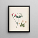 Paper cut-out flower album painting Pl23 - Ellen W. — framed artwork on a wall