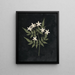 Paper cut-out flower album painting Pl25 - Ellen W. — framed artwork on a wall