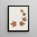 Paper-cut flower album painting Pl26 - Ellen W. — framed artwork on a wall