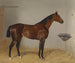 Saint Galmier - Emil Adam — artwork view