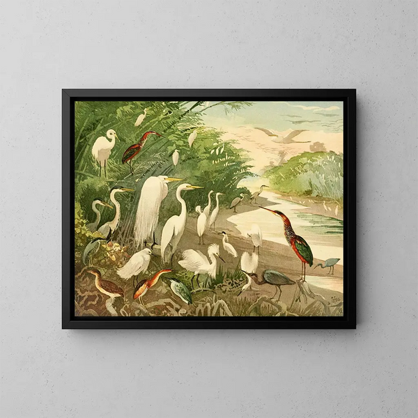 Garas - Emil August Göldi — cuadro enmarcado en la pared