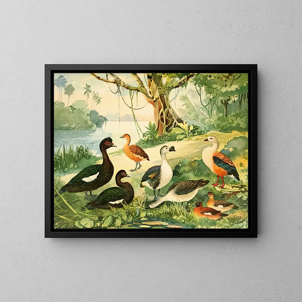 Canards et oies - Emil August Göldi — cuadro enmarcado en la pared