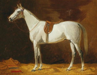 Emil Volkers - Gesattelter Schimmel im Stall.webp