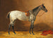 Caballo de silla - Emil Volkers — vista de la obra